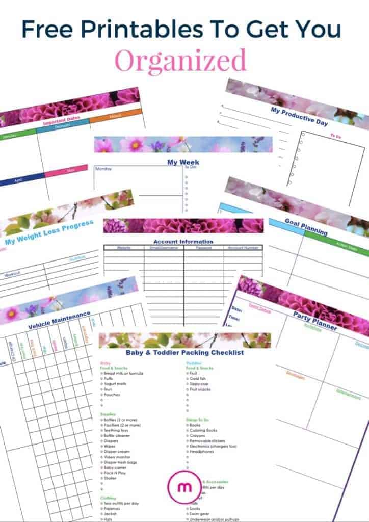 How To Easily Get Organized With Printables | Organized Marie