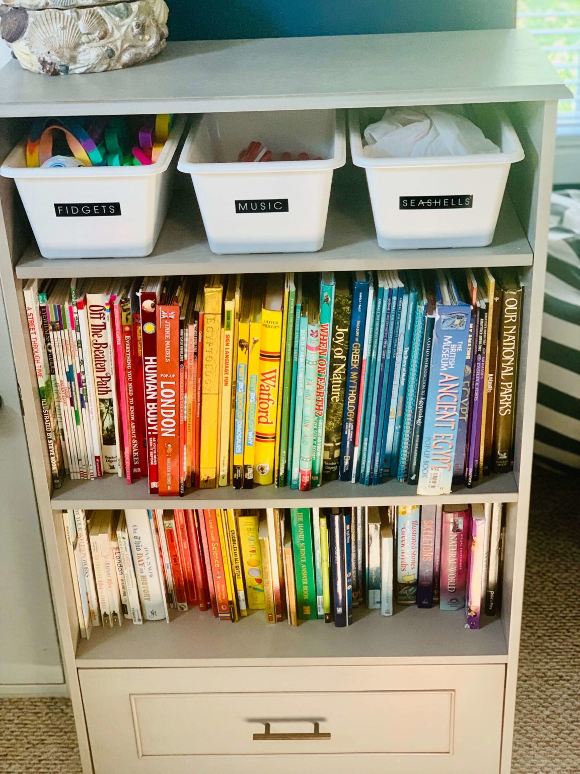 A Professional Organizer Transforms A Playroom In Charlotte NC