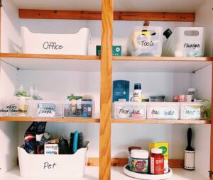organization container store